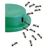 HG HGX boîte d'appât à fourmis, Piège à insectes 