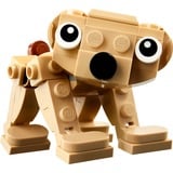 LEGO Creator 3-en-1 - Animaux cadeaux, Jouets de construction 30666