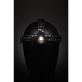 Ledlenser Lampe frontale H7R Signature, Lumière LED Noir