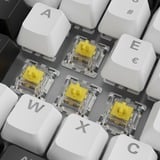Sharkoon SKILLER SGK50 S3, clavier gaming Blanc, Layout BE, Gateron Yellow, BE Layout, Gateron Yellow, RGB LED, Hot-swappable, 75%