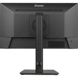 iiyama ProLite XUB2293HSU-B7 21.5" Moniteur Noir, 1x DisplayPort, 1x HDMI, 2x USB-A