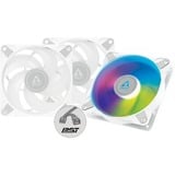 ARCTIC P12 PWM PST A-RGB, Ventilateur de boîtier Blanc/transparent, 3 pièces, connecteur de ventilateur PWM à 4 broches