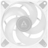 ARCTIC P12 PWM PST A-RGB, Ventilateur de boîtier Blanc/transparent, 3 pièces, connecteur de ventilateur PWM à 4 broches