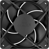 ARCTIC P12 Pro PST LN ventilateur de boîtier Noir, 120 x 120 x 25 mm, PWM
