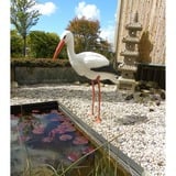 Ubbink Cigogne, Fontaine d'eau 