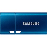 SAMSUNG Type-C 128 Go, Clé USB Bleu, MUF-128DA/APC, USB-C 3.2 Gen 1