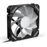 Sharkoon SHARK Mirror RGB PWM REVERSE, Ventilateur de boîtier Noir, 4 broches PWM