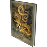 Asmodee Donjons et Dragons 5.0 - Manuel du joueur 2024, Livre Couverture alternative, anglais, 2+ joueurs, 12 ans et plus