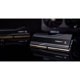 G.Skill 48 Go DDR5-8000 (2x 24 Go) Kit, Mémoire vive Noir, F5-8000J4048G24GX2-TZ5N, Trident Z5 Neo, AMD EXPO