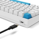 Sharkoon SKILLER SGK50 S2 PBT RGB clavier gaming mécanique Blanc, Layout BE (AZERTY), Gateron G Pro 3.0 Yellow, 96%, Hot-swappable