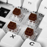 Sharkoon Tactile Kailh Box Brown Touches de clavier, Switch pour clavier Marron/transparent, Touches de clavier, Marron, Blanc