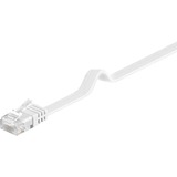 goobay Câble de raccordement RJ-45 U/UTP avec Cat.6 Blanc, 2 mètres, câble plat