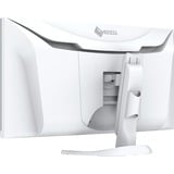 EIZO FlexScan EV3450XC-WT 34.1" Moniteur UltraWide incurvé Blanc, 1x DisplayPort, 2x HDMI, 2x USB-C, 2x USB-A, 1x RJ-45