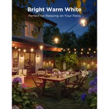 Govee Outdoor Clear Bulb String Lights, Lampe Noir, 15 mètres