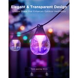 Govee Outdoor Clear Bulb String Lights, Lampe Noir, 15 mètres