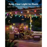 Govee Outdoor Clear Bulb String Lights, Lampe Noir, 15 mètres