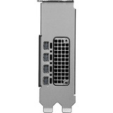 NVIDIA® RTX PRO 2000 Blackwell, Carte graphique 4x mini-DisplayPort, En vrac