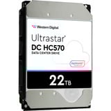 WD Ultrastar DC HC570 22 To, Disque dur SATA 6 Gb/s, SE