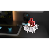 Corsair RGB clavier gaming mécanique Noir, Layout US (QWERTY), Corsair MLX Red v2, 80% (TKL)