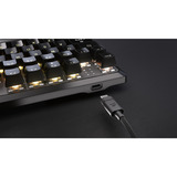 Corsair RGB clavier gaming mécanique Noir, Layout US (QWERTY), Corsair MLX Red v2, 80% (TKL)