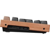 Keychron K10 HE-F1, clavier Noir/Marron, Layout BE, Gateron Double-Rail Magnetic Nebula, LED RGB, remplaçables à chaud, Bluetooth, 2,4 GHz