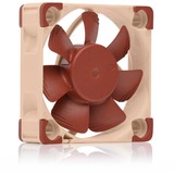 Noctua NF-A4x10 24V PWM, Ventilateur de boîtier Marron/Beige