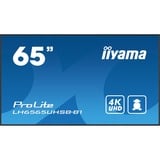 iiyama ProLite LH6565UHSB-B1, Affichage public Noir