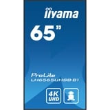 iiyama ProLite LH6565UHSB-B1, Affichage public Noir