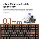 Keychron clavier mécanique Bois, Layout US (QWERTY), Gateron Double-Rail Magnetic Nebula, 75%