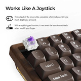 Keychron clavier mécanique Bois, Layout US (QWERTY), Gateron Double-Rail Magnetic Nebula, 75%