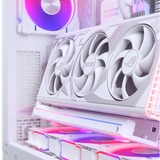 Phanteks Premium Vertical GPU Bracke, Support Blanc (mat), D-RGB