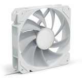 Sharkoon SHARK Mirror RGB PWM, Ventilateur de boîtier Blanc, 4 broches PWM