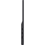 iiyama ProLite P1671HSC-B1 15.6" Moniteur Noir (Mat), 1x Mini HDMI, 2x USB-C