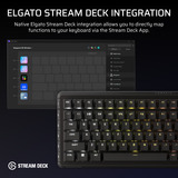 Corsair RGB clavier gaming mécanique Noir, Layout US (QWERTY), Corsair MLX Plasma, 96%