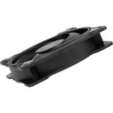 ARCTIC P12 Max ventilateurs de boîtier Noir, 5 pièces, 120 x 120 x 25 mm, PWM