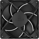 ARCTIC P14 Pro PST ventilateurs de boîtier RGB  Noir, 5 pièces, 140 x 140 x 27 mm, PWM