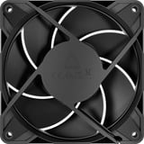 ARCTIC P12 Pro LN ventilateurs de boîtier Noir, 5 pièces, 120 x 120 x 25 mm, PWM