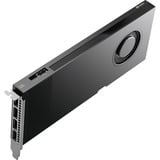 NVIDIA® RTX PRO 4000 Blackwell, Carte graphique 4x DisplayPort