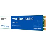 WD Blue SA510 250 Go SSD Bleu/Blanc, WDS250G3B0B, M.2 2280