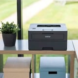 Brother HL-L2445DW, Imprimante laser Gris foncé