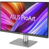 ASUS ProArt Display PA24ACRV 24" Moniteur  Argent/gris, 1x HDMI, 2x DisplayPort