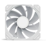 Sharkoon SHARK Mirror RGB PWM REVERSE, Ventilateur de boîtier Blanc, 4 broches PWM
