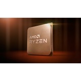 AMD  socket AM4 processeur Tray