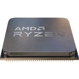 AMD  socket AM4 processeur Tray