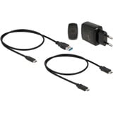 DeLOCK Station d'accueil M.2 pour 2x SSD M.2 SATA Noir