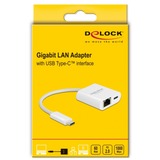 DeLOCK USB-C > Gigabit LAN RJ-45 + PD, Adaptateur Blanc, 0,115 mètres