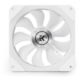 EKWB EK-Quantum Impulse 120 D-RGB ventilateur de boîtier Blanc, 120 x 120 x 29 mm