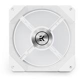 EKWB EK-Quantum Impulse 120 D-RGB ventilateur de boîtier Blanc, 120 x 120 x 29 mm