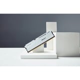 Kingston FURY 32 Go DDR5-5600, Mémoire vive Blanc, KF556C36BWE-32, Beast, EXPO