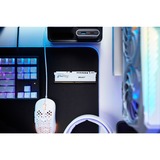 Kingston FURY 32 Go DDR5-5600, Mémoire vive Blanc, KF556C36BWE-32, Beast, EXPO